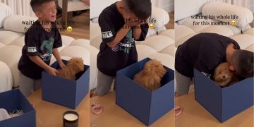 Tiny Puppy Becomes a Surprise Little Boy Waited All His Life for & It Doesn’t Get Better