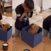 Tiny Puppy Becomes a Surprise Little Boy Waited All His Life for & It Doesn’t Get Better