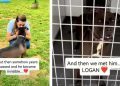 After 7 Years Behind Kennel Doors, This Shelter Dog Finally Gets Happy Ending