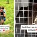 After 7 Years Behind Kennel Doors, This Shelter Dog Finally Gets Happy Ending