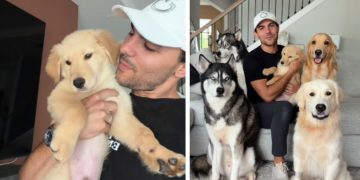 Owner Foster Fails & Adopts Puppy Into a Home Filled With Dogs