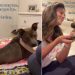 Shelter Dog Once Stuck Behind Kennel Bars Now Has the Dream Life & a Happy Ending