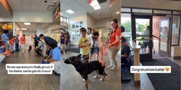 Shelter Dog Lived Anxiously Until a Loving Family Welcomed Him With Open Arms
