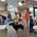 Shelter Dog Lived Anxiously Until a Loving Family Welcomed Him With Open Arms