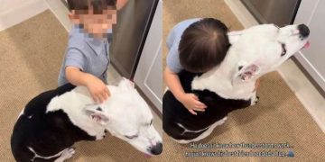 Big Dog Finds Comfort in Little Boy as He Hugs Her To Cope With Thunderstorm