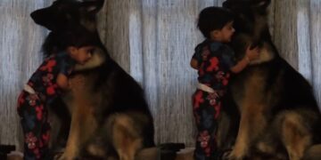 Toddler Wraps His Arms Around Big Dog To Greet Him With the Sweetest Morning Hugs