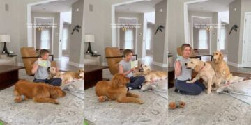 Mom Includes Three Curious Golden Retrievers in Baby’s Fun Activity