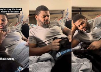 Dog Has the Sweetest Way of Telling His Deaf Dad He’s Scared of Fireworks