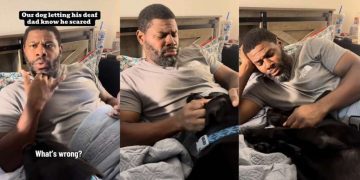 Dog Has the Sweetest Way of Telling His Deaf Dad He’s Scared of Fireworks