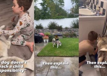 Gentle Husky Is Teaching Little Boy One of Life’s Greatest Lessons