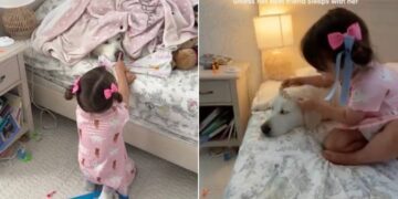 Toddler Refuses To Go To Sleep Without Golden Retriever Like That’s All She Needs
