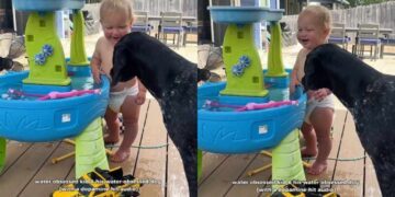 Dog Plays a Backyard Game With Toddler & Watches Him Laugh Like It’s Her Favorite Thing