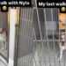 Human Visits Shelter Dog on Her Last Day for One Final Walk, Then the Unthinkable Happens