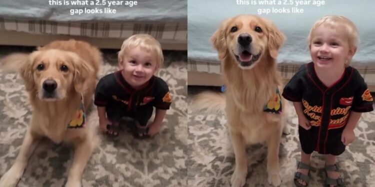 Toddler Copies Golden Retriever’s Every Command & Has the Time of His Life