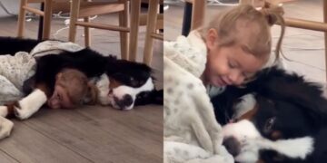 Dog Initiates Cuddle With Little Girl by Making the Most Adorable Gesture