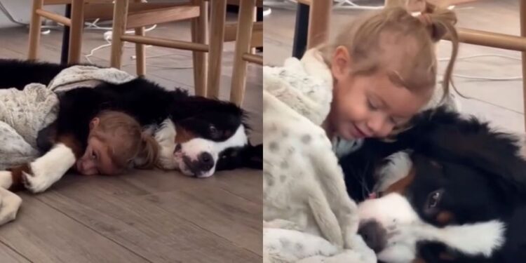 Dog Initiates Cuddle With Little Girl by Making the Most Adorable Gesture