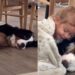Dog Initiates Cuddle With Little Girl by Making the Most Adorable Gesture