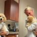 Golden Retriever Puppy’s First Vet Visit Takes an Unexpectedly Adorable Turn