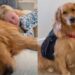Mom Witnesses Golden Retriever Become Toddler’s ‘First Love’ One Core Memory at a Time