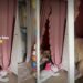 Dog Claims Kid’s New Reading Nook So He Never Has to Let Her Out of His Sight