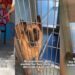 Shelter Dog Cries for Days After Family Surrenders Her & ‘Walks Away Laughing’