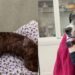Tripod Shelter Dog Waited for a Second Chance & a Community Made Sure She Got One