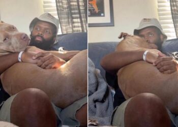 Human Becomes Dog’s Safe Place, Lets Her Snuggle Into His Lap & Show How Much He Means to Her