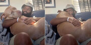 Human Becomes Dog’s Safe Place, Lets Her Snuggle Into His Lap & Show How Much He Means to Her