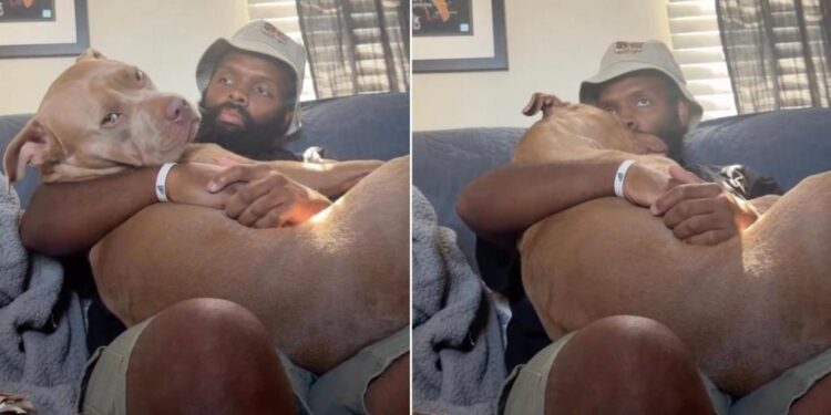 Human Becomes Dog’s Safe Place, Lets Her Snuggle Into His Lap & Show How Much He Means to Her