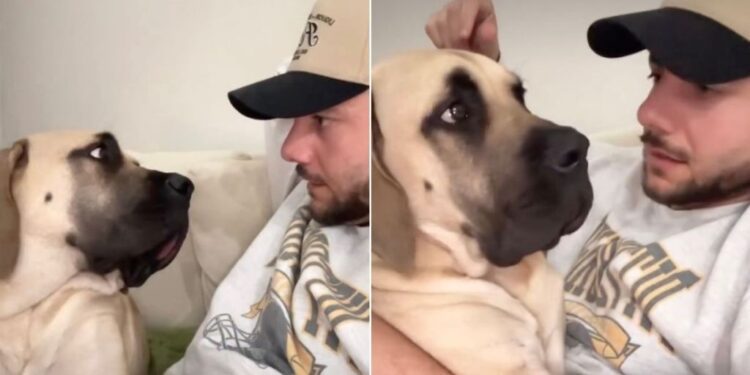 Dog Burps in Dad’s Face While He’s Lecturing Her About Personal Space