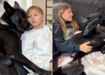 Dog Becomes Little Girl’s Shadow After She Rescues Him