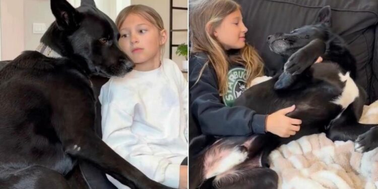 Dog Becomes Little Girl’s Shadow After She Rescues Him