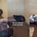 Shelter Dog Keeps Retreating Into a Corner & Stays Frozen Despite Human’s Kindness