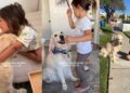 Little Girl’s Bond With First Dog Becomes a Love Story To Cherish, One Precious Memory at a Time