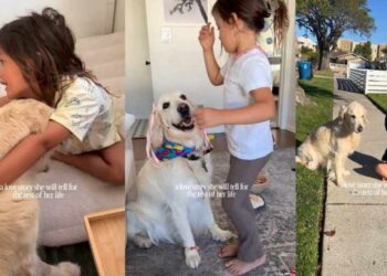 Little Girl’s Bond With First Dog Becomes a Love Story To Cherish, One Precious Memory at a Time