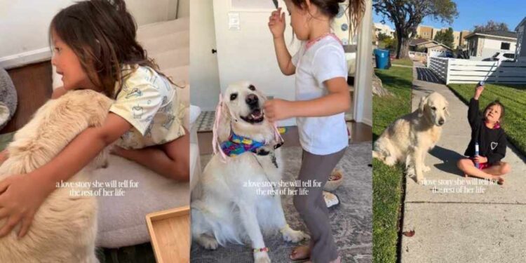 Little Girl’s Bond With First Dog Becomes a Love Story To Cherish, One Precious Memory at a Time