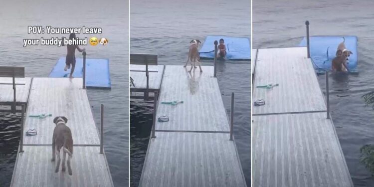 Boy Refuses to Leave His Best Buddy Behind & It’s Easy to See Why