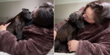 Rescue Pup Climbs Into Mom’s Arms Like She’s Finally Found the Home She Always Deserved