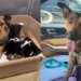 For This Mama Shelter Dog & Her Babies, Rescue Came at the Right Time So They Can Be a Family