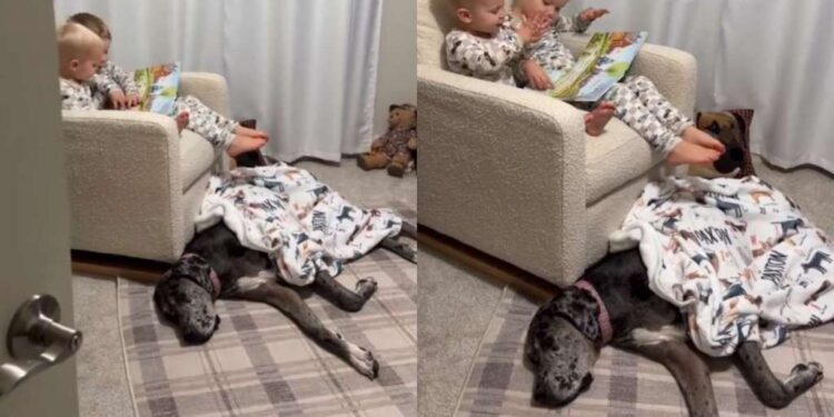 Mom Walks in on Unexpected Dog Cameo While Watching Her Two Toddlers Bond