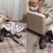 Mom Walks in on Unexpected Dog Cameo While Watching Her Two Toddlers Bond