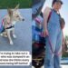 Human Takes Shelter Dog for a Car Ride, Unaware It Will Reveal a Painful Reminder of Her Past