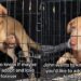 Shelter Dog Desperately Wants Out of Crate, Yearning for a Home Where He Can Finally Be Free