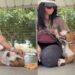 Shelter Dog Falls Into Human’s Arms in Her Kennel, but Her Reaction Shows Just What She Needed