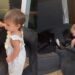 One Tiny Toddler Somehow Becomes the Fun Police for the Dogs & They Don’t Even Mind