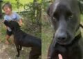Toddler Sneaks Neighbor’s Dog Into His Home for a Playdate, Only To Get Showered With Kisses
