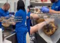 Dog Gets a Bandage Change At the Vet but Seems Far More Interested in Getting Belly Rubs