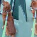 Stranger Notices What Golden Retriever Is Staring at & Makes His Entire Day