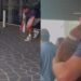 Dog Covers Dad’s Face in Kisses After Almost a Year Apart — She’s Making up for Lost Time