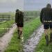 Labrador Puppy Faces His First Rainy Walk Like a True Little Trooper